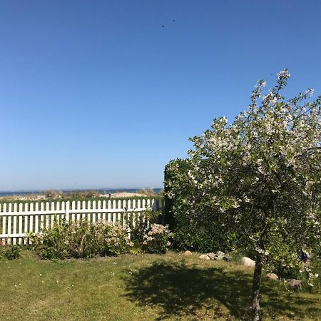 Ferienwohnung Fritzi غلوفي المظهر الخارجي الصورة